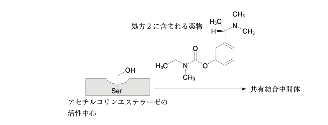 解説画像
